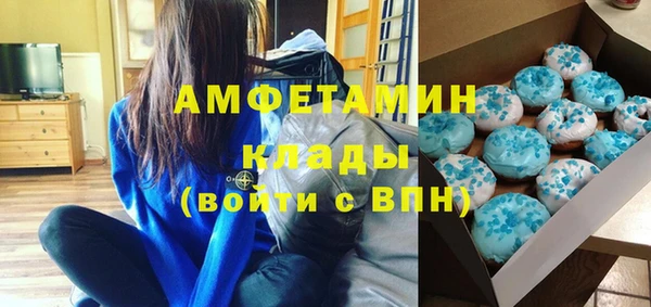 индика Алексин