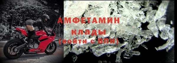 индика Алексин