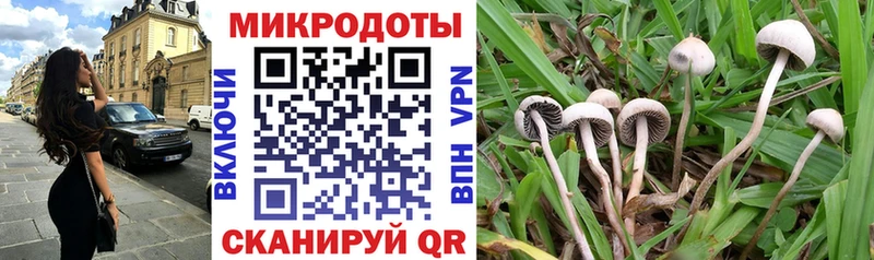 Галлюциногенные грибы Psilocybe mega ссылки Киров